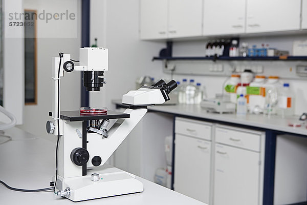 Deutschland  Bayern  München  Mikroskop mit Petrischale im Labor für medizinische Forschung