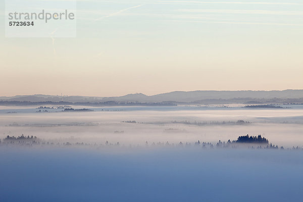 Deutschland  Bayern  Loisach Moor  Blick auf den Berg im Nebel