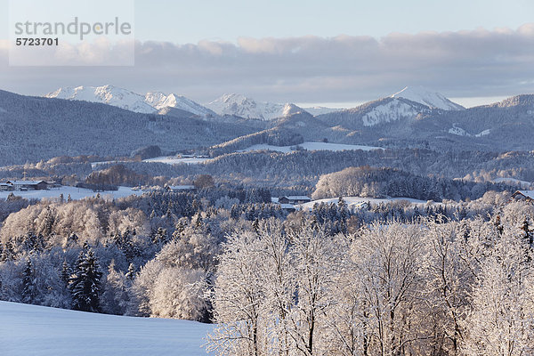 Deutschland  Bayern  Blick auf das Voralpenland mit Mangfallgebirge im Hintergrund