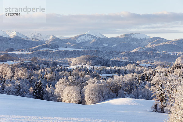 Deutschland  Bayern  Blick auf das Voralpenland mit Mangfallgebirge im Hintergrund