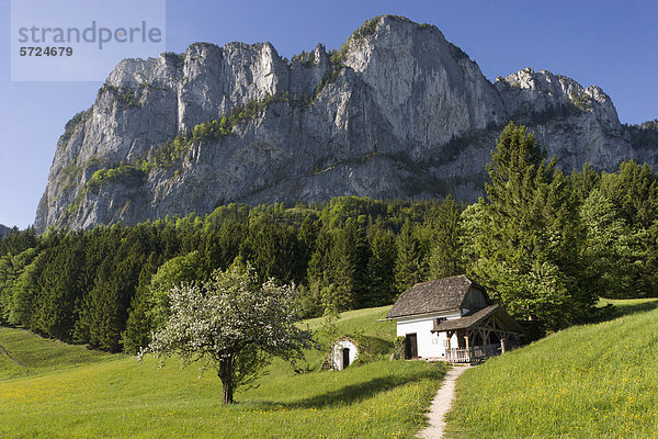 Österreich  Salzkammergut  Mondseeland  Blick auf die Mühle vor der Drachenwand