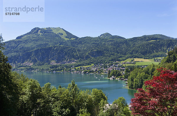 Österreich  St. Gilgen  Stadtansicht mit Berg und Wolfgangsee