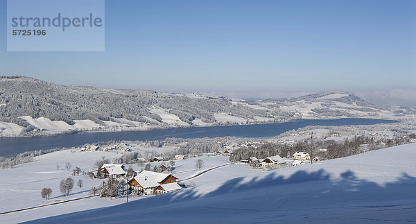 Österreich  Blick auf verschneite Agrarlandschaft  Irrsee im Hintergrund