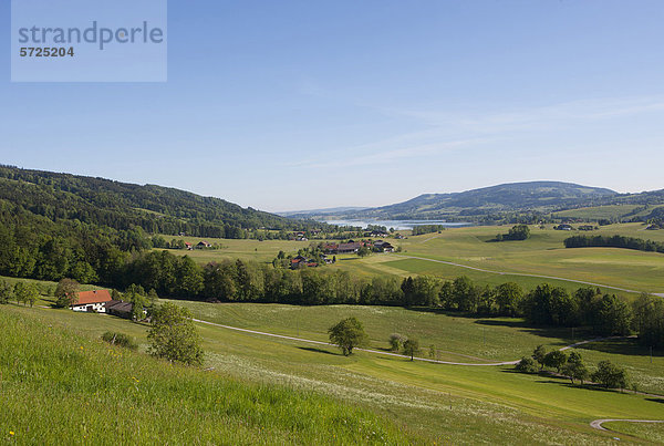 Österreich  Blick auf die Agrarlandschaft im Sommer