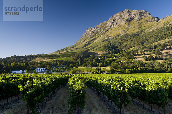 Haupthaus  Weingut  Franschhoek  Westkap  Südafrika  Afrika