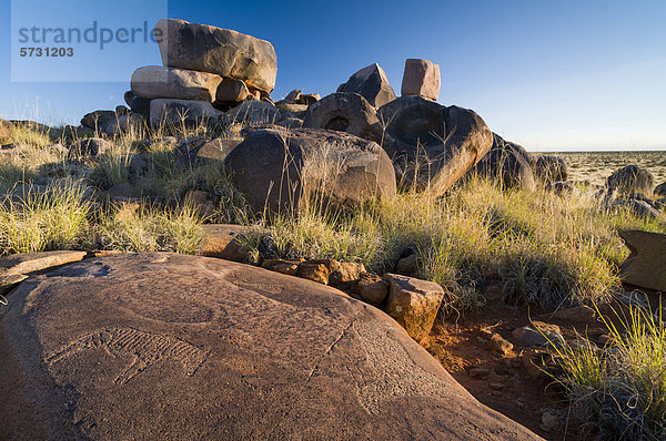 Petroglyphen der Buschmänner oder San  bei Kenhardt  Nordkap  Südafrika  Afrika