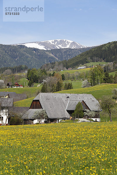Puchschachen near Knittelfeld  Upper Styria  Styria  Austria  Europe  PublicGround