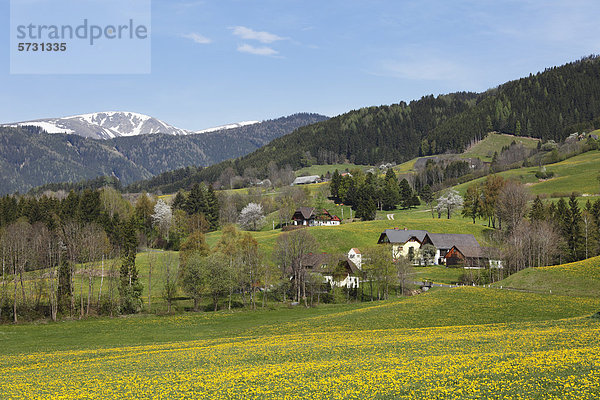 Puchschachen near Knittelfeld  Upper Styria  Styria  Austria  Europe