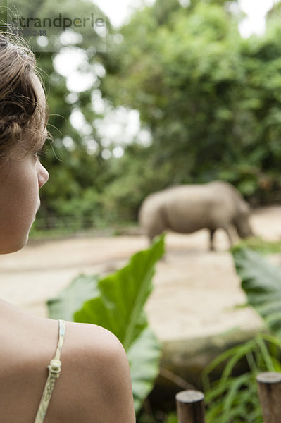 Mädchen beobachten Tier im Zoo  Rückansicht