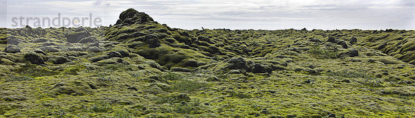 Panoramablick auf das moosbedeckte Lavafeld  Island