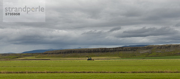 Island  Panoramablick auf Ackerland