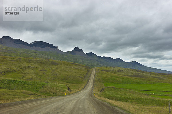 Island  Feldweg durch die Landschaft