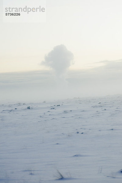 Geothermischer Dampf  Halbinsel Reykjanes  Island