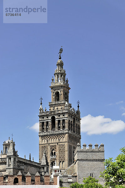 Glockenturm Giralda  Kathedrale von Sevilla  Kathedrale Santa Maria de la Sede  Giralda  Sevilla  Andalusien  Südspanien  Spanien  Europa