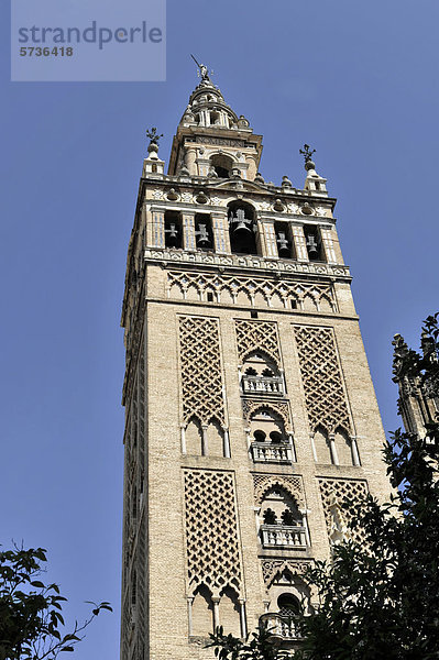 Glockenturm Giralda  Kathedrale von Sevilla  Kathedrale Santa Maria de la Sede  Giralda  Sevilla  Andalusien  Südspanien  Spanien  Europa