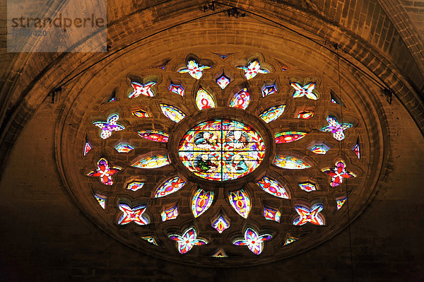 Rosette  farbiges Kirchenfenster  Kathedrale von Sevilla  Kathedrale Santa Maria  Giralda  Sevilla  Andalusien  Südspanien  Spanien  Europa