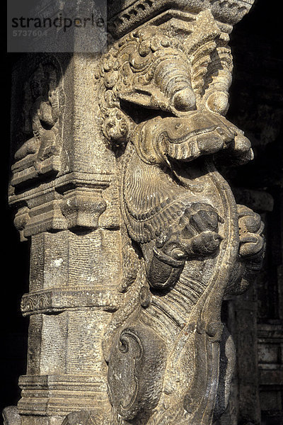 Fabelwesen  Säulen-Schmuck  hinduistischer Ranganathaswamy-Tempel  Srirangam  Trichy oder Tiruchirappalli  Tamil Nadu  Südindien  Indien  Asien