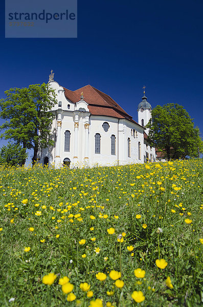 Rokoko Wallfahrtskirche  Wieskirche  Frühlingswiese  UNESCO-Weltkulturerbe  Wies  Steingaden  Oberbayern  Deutschland  Europa
