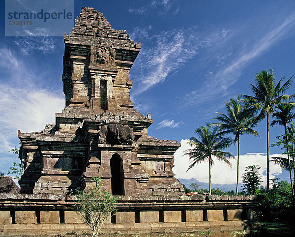 Indonesien  Java  Candi Singosaritemple