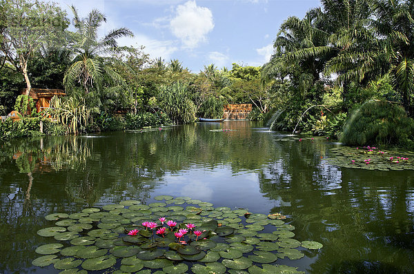 Philippinen  tropischen Garten