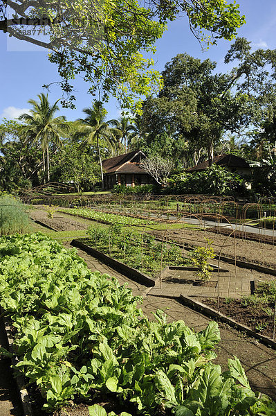 Philippinen  Bio-Bauernhof