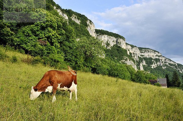 Naturpark Chartreuse  Avant Pays Savoyarde  Haute-Savoie  Frankreich