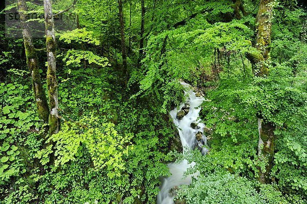 Frankreich  Haute-Savoie  Avant zahlt Savoyarde  Landschaft und im Naturpark Chartreuse