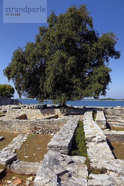 Kroatien  Istrien  Nationalpark Brijuni  römische Ruinen