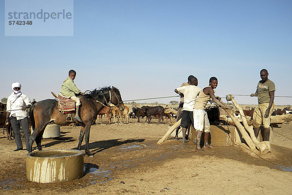 Arabische Stamm an örtlichen Brunnen  Bilitine Gebiet  Tschad