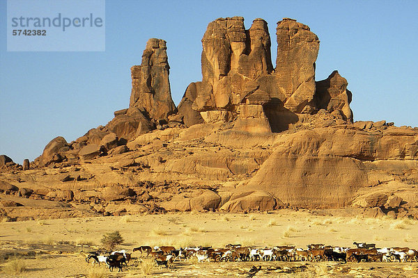 Archei Bereich Fialen  Ennedi Region  Tschad