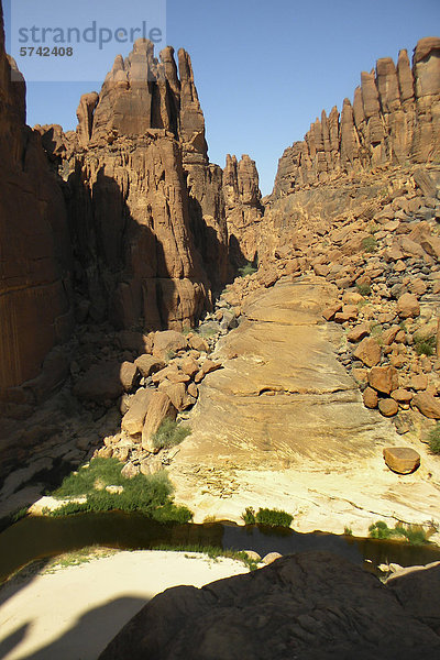 Archei Gueltas  Ennedi Region  Tschad