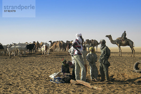 Arabische Stamm  Bahar el-Gazal  Tschad