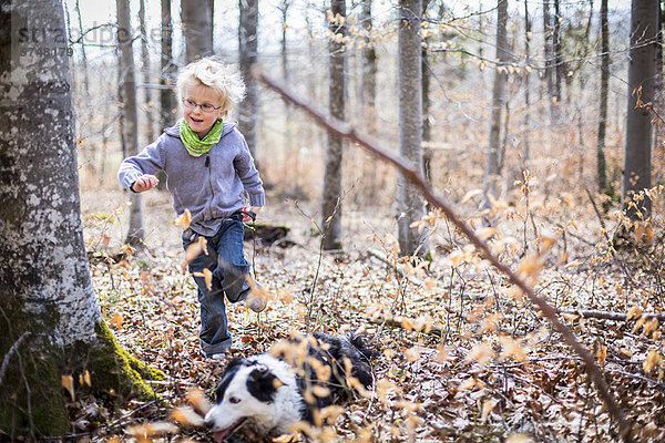Junge und Hund erkunden im Wald