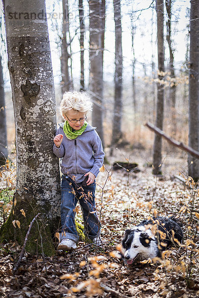 Junge - Person  Forschung  Wald  Hund