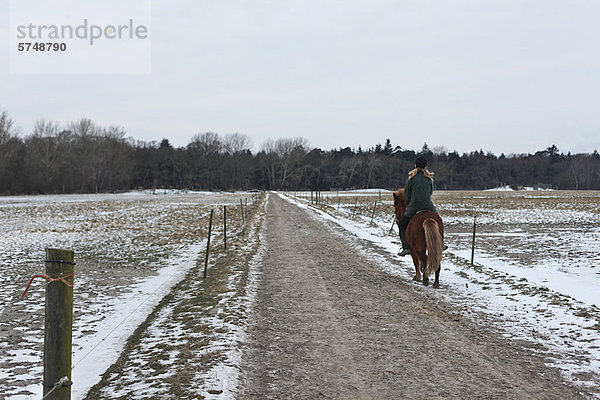 Frau  Weg  Schnee  reiten - Pferd