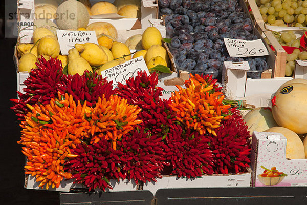 Chili-Paprika zum Verkauf in der Toskana  venedig  Italien