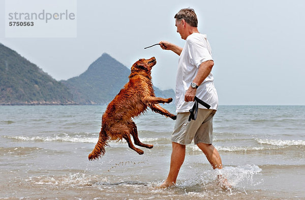 Mann spielt mit Hund am Strand in Thailand