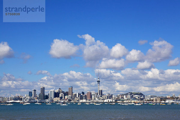 Auckland Hafen Skyline  Neuseeland