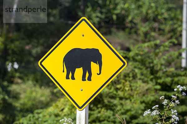 Straßenschild  Piktogramm Elefant  Nordthailand  Thailand  Asien