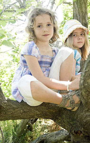 Zwei Mädchen sitzen im Baum