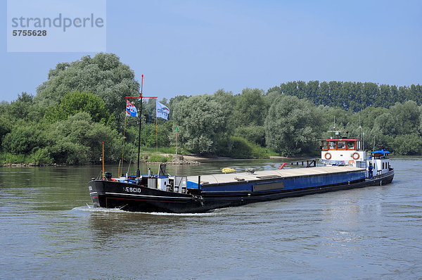 Schiff auf dem Rhein bei Arnheim oder Arnhem  Gelderland  Niederlande  Europa
