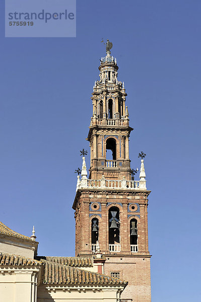 Kirchturm  Iglesia de San Petro  Andalusien  Spanien  Europa