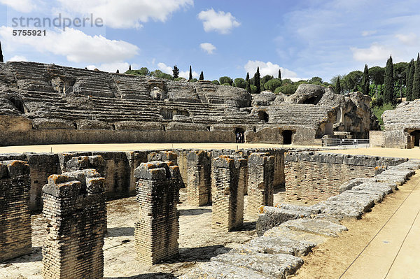 Amphitheater  römische Ruinen von Italica  Santiponce  Provinz Sevilla  Andalusien  Spanien  Europa