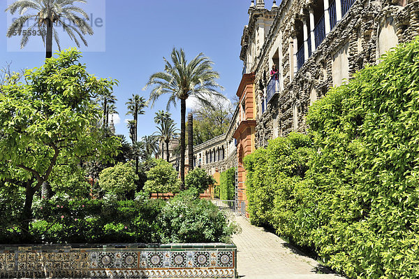 Gartenarchitektur in den Gärten im maurischen Königspalast Real Alcazar  Unesco-Weltkulturerbe  in Sevilla  Andalusien  Spanien  Europa