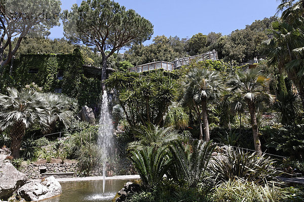 La Mortella  mediterraner Garten von Sir William Walton  Forio  Insel Ischia  Golf von Neapel  Kampanien  Süditalien  Italien  Europa