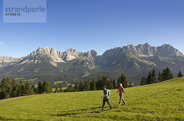 Wanderer am Hausberg  Hartkaiser  Blick auf Wilder Kaiser  Tirol  Österreich  Europa