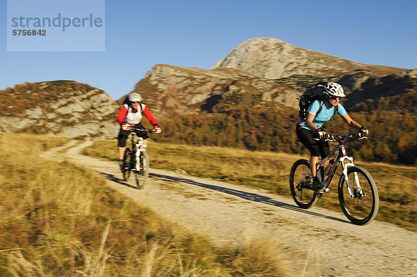 Mountainbiker auf dem Weg zur Gotzenalm  Berchtesgadener Land  Oberbayern  Bayern  Deutschland  Europa