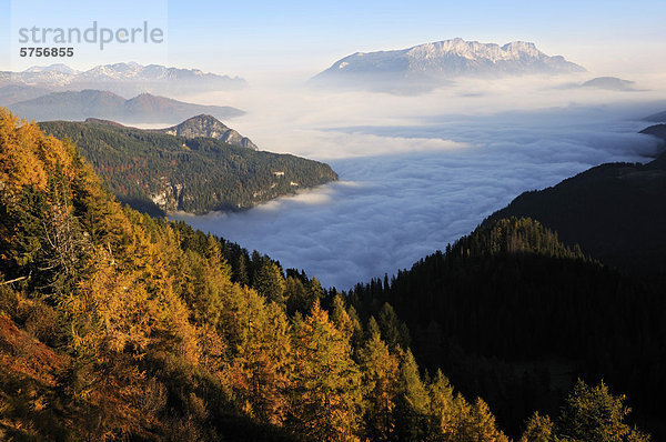 Auf dem Feuerpalven  Nebel über dem Königssee  Blick zum Untersberg  Berchtesgadener Land  Oberbayern  Bayern  Deutschland  Europa