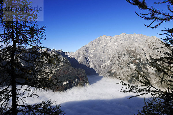 Blick vom Feuerpalven auf den nebelverhangenen Königssee und die Watzmann-Ostwand  Berchtesgadener Land  Oberbayern  Bayern  Deutschland  Europa