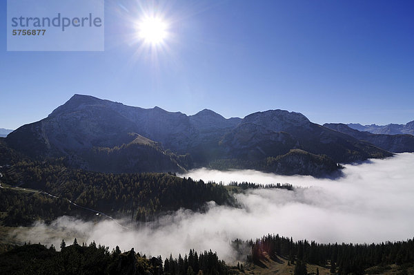 Blick vom Jenner in das darunterliegende Nebelmeer  Berchtesgadener Land  Oberbayern  Bayern  Deutschland  Europa